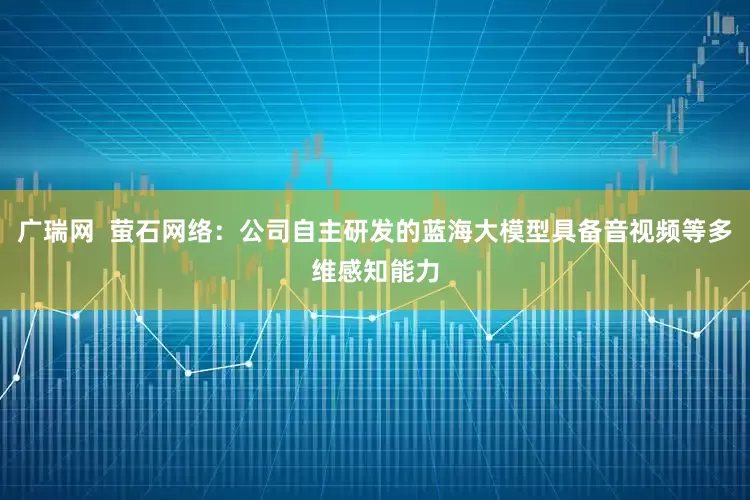 广瑞网  萤石网络：公司自主研发的蓝海大模型具备音视频等多维感知能力