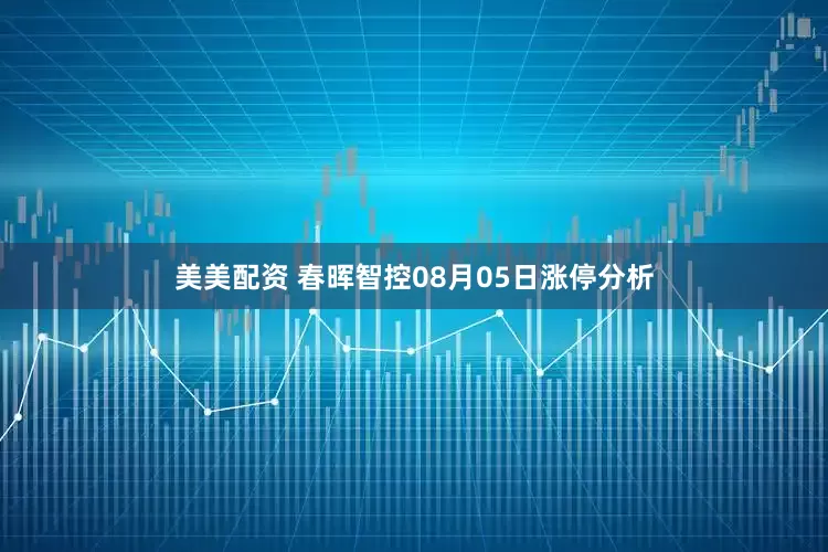 美美配资 春晖智控08月05日涨停分析