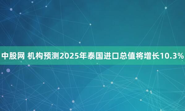 中股网 机构预测2025年泰国进口总值将增长10.3%