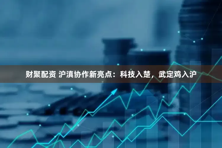 财聚配资 沪滇协作新亮点：科技入楚，武定鸡入沪