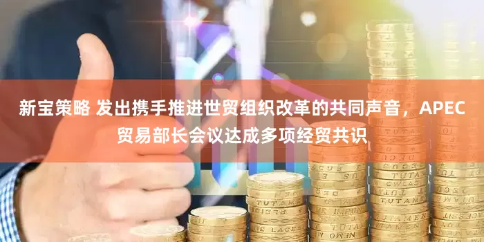新宝策略 发出携手推进世贸组织改革的共同声音，APEC贸易部长会议达成多项经贸共识