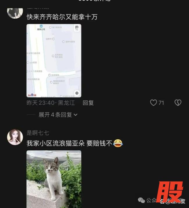 被亚朵索赔10万老板自学法条应诉 小商家商标之困